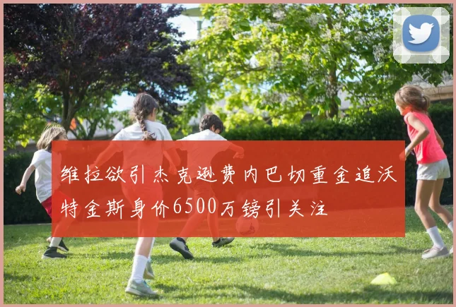 维拉欲引杰克逊费内巴切重金追沃特金斯身价6500万镑引关注