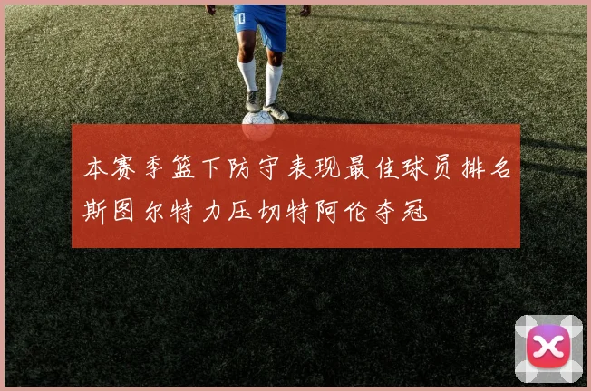 本赛季篮下防守表现最佳球员排名斯图尔特力压切特阿伦夺冠